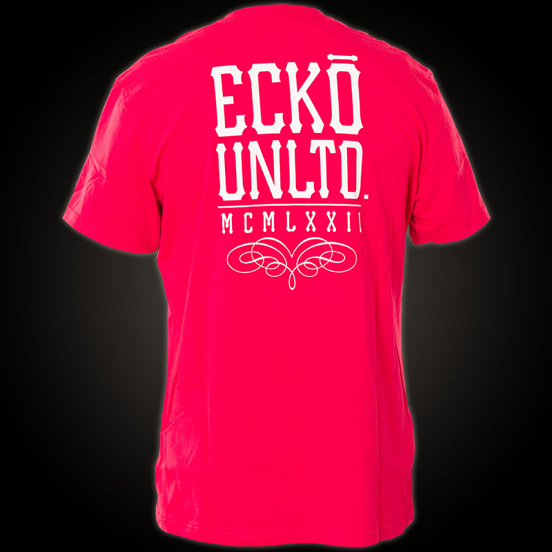 Ecko Unltd. MMA T-Shirt Skull & Bones - Shirt with large prints and ...